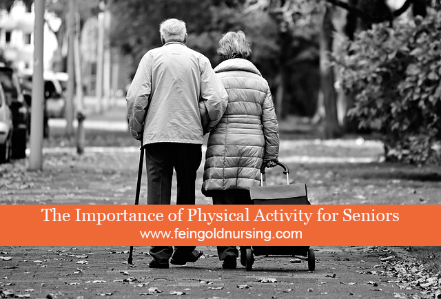 The Importance of Physical Activity for Seniors